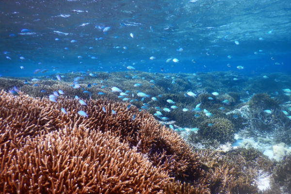resolabo-miyakojima-hirara-spot03