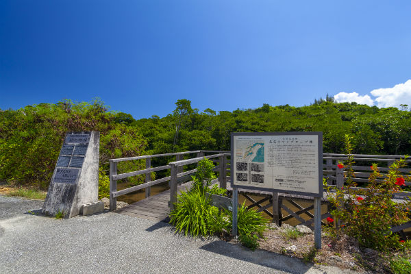 宮古島:島尻のマングローブ林