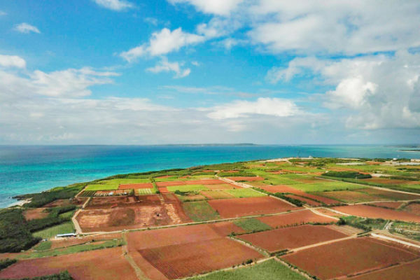 resolabo-miyakojima-saying03