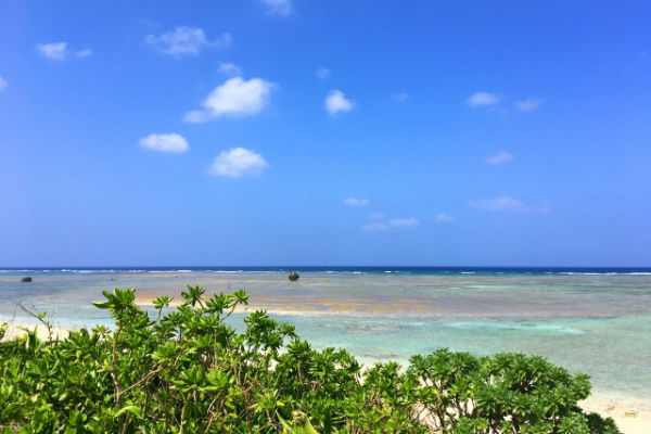 resolabo-miyakojima-tarama02