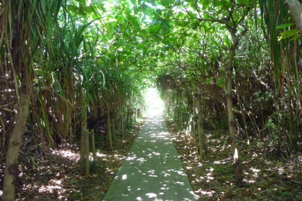 resolabo-sdgs-miyakojima03