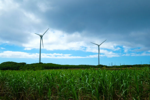 resolabo-sdgs-ecopark02